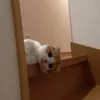 hwimew_