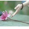 tuehuong94