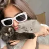 sheisblueming