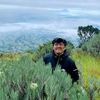 ifan
