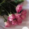 rayanalove
