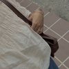 ppsstttt__
