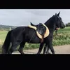 aimeeoflaherty_01