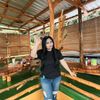 adheely