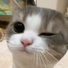 gaeulyiyi