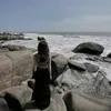 id0346253