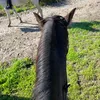 lottie_0920