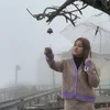 linhbanhbo8