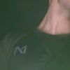 elvn_g