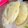 martabak12