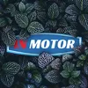 IN MOTOR
