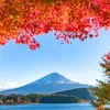 _landscape_4k