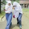 serlinisnaeny_