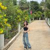 sunlight4123