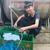 tuan37_atna