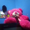 inah_rusmini