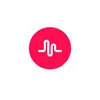 musically10908