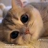 _mariaa961