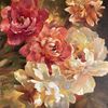 midwestpeony