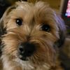 anastasia_beaverhausen66