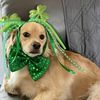 baileyblondrescue