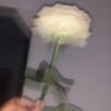 secretcuti3