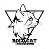 bolo_cat_tlg