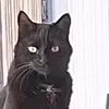 noorcl.hoi