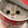 _kentangrebus48