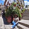 indiralinettarbol