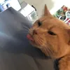 mmmm_q1