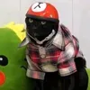 its.notquagn