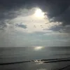dy3mtgqssa44