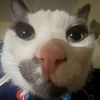 livvy3d