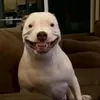 rarinkusu