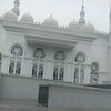 bilqisalfarifqihafiz
