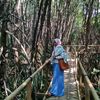 faridaafif0