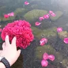 rahmanikhadija