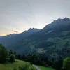 qinlar_