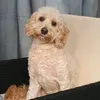 mrsinchcredible