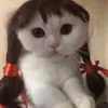 ttmchu