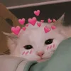 areeja_rahman