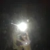chiara_crisapulli