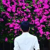 thayvu_tpt