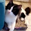 brianna8027bbb