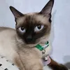 squaretayo