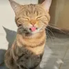 mapibagnato