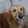sophia_567894