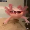 minisapiens