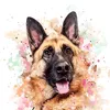 Mimi_the_gsd